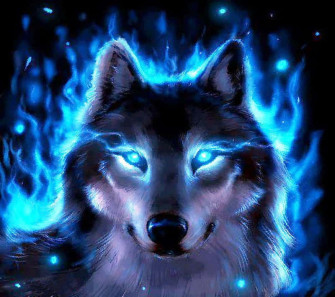 Fire And Ice Wolves Wallpaper