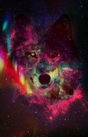 Colorful Galaxy Quotes
