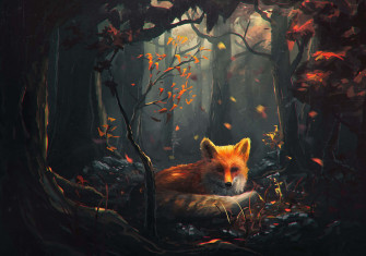 Cool Fox Wallpaper