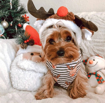 Preppy Christmas Wallpaper