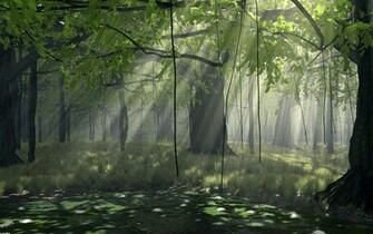 Forest Wallpaper And Image Pictures Photos