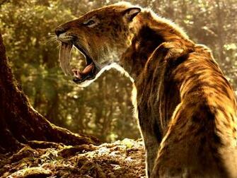 Pics Photos Saber Tooth Tiger Wallpaper