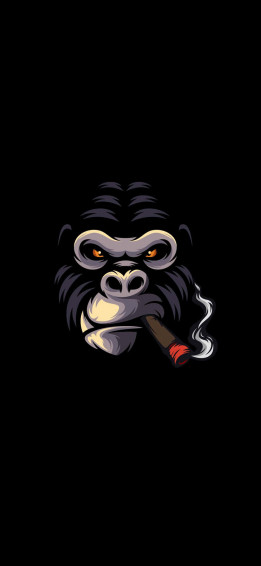 Embrace Nature With Monkey iPhone Wallpaper