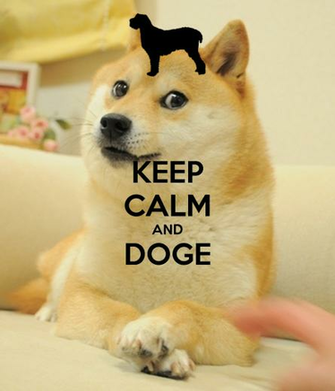 Displaying Image For Doge Meme iPhone Wallpaper