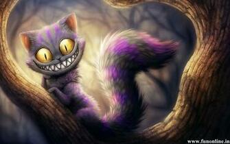 Cat Wallpaper Cute And Funny HD For