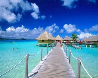 Paradise Wallpaper Art Print Poster Tropical