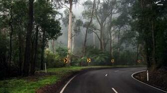Top Screensaver Forest Road