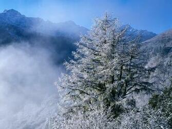 Winter Wallpaper Amazing