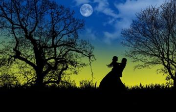 Wallpaper Love Night The Moon Romance Two Silhouettes Date