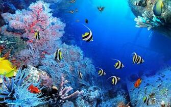 Aquarium Wallpaper HD Desktop