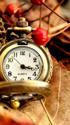 Vintage Watch iPhone 5s Wallpaper