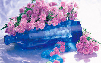 Photography Still Life HD Wallpaper