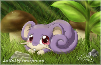 Rattata