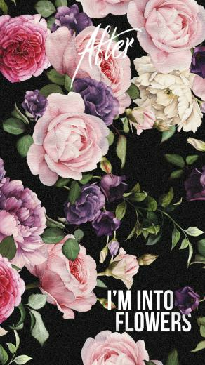 Anna Todd On Wallpaper In Movie