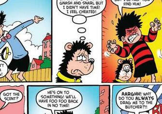 Has Gnasher Had His Chips The Independent