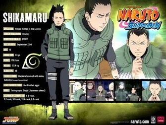 Shikamaru Information Wallpaper