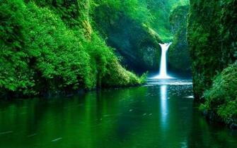 HD Nature Wallpaper Net
