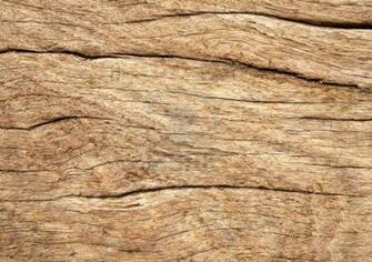 Investing In Quality Weathered Wood Grain Texture Close Up