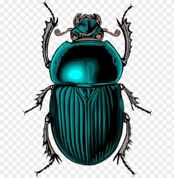 Scarab Beetle Tattoo Egyptian Bu Png Image With Transparent