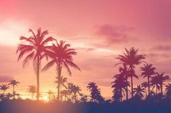 Best Summer Wallpaper Collection Savedelete