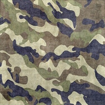 Woodland Camo V3 By Garryts