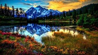 Reflect Wallpaper And Background Image Id