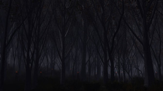 Forest Dark 4k HD Wallpaper Image Background