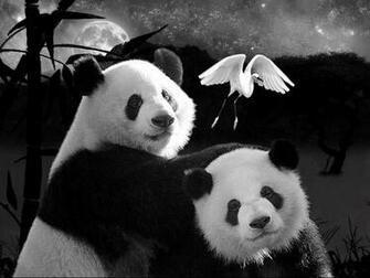 Pandas