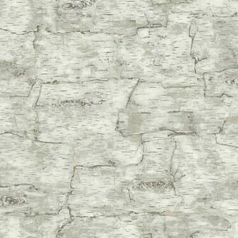 Grey Lm7987 Birch Bark Wallpaper Lodge Outdoors