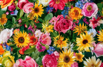 Phool Wallpaper