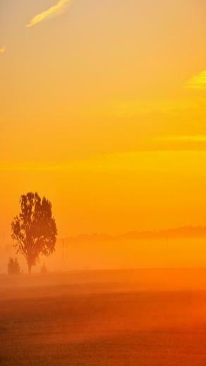 iPhone 5c Yellow Wallpaper Jpg