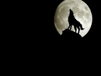 3d Wolf Wallpaper Pictures