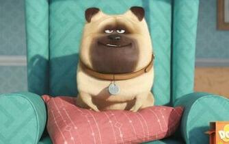 The Secret Life Of Pets Puppy Click To