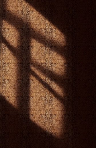 Dark Brown Wallpaper