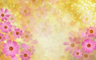 Pink Flowers Picture Beautiful In Bloom Golden Background