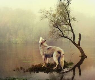 Hipster Wolf By Iso Savvy