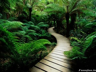 Full HD Nature Wallpaper Funny Pictures Jokes Cute