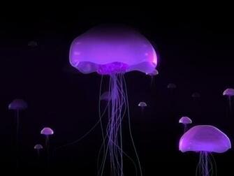 Abstract Deep Sea Creatures Wallpaper Graphic