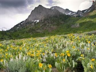 Mountain Spring Day