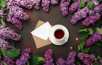 Wallpaper Flowers Lilac Romantic Coffee Cup Spring