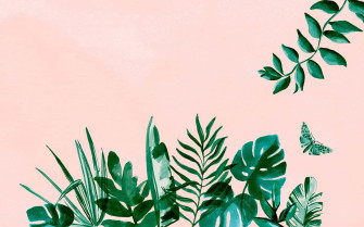 Neutral Colors Wallpaper