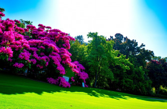 Augusta National Wallpaper HD