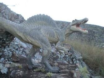 Spinosaurus Wallpaper Picture Pictures