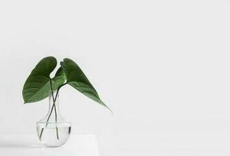 Minimalist Pictures Image