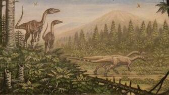Photo Dinosaurs Coelophysis Peteinosaurus Animals