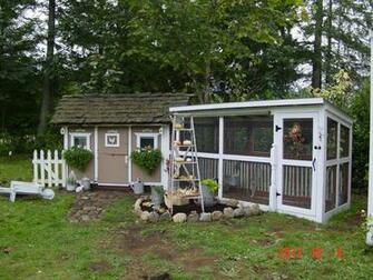 The Chicken Coop For My Pampered Chickens