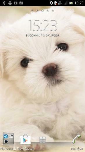 Puppy Dog Live Wallpaper Android Apps On Google Play