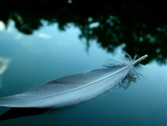 Calm Manipulated Photos Landscapes Wallpaper