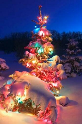 Cool Christmas Tree iPhone HD Wallpaper