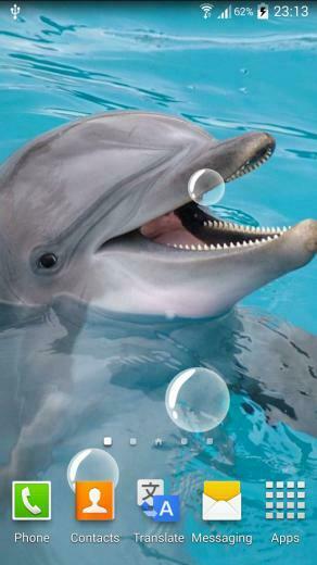 Dolphin Live Wallpaper Android Apps On Google Play
